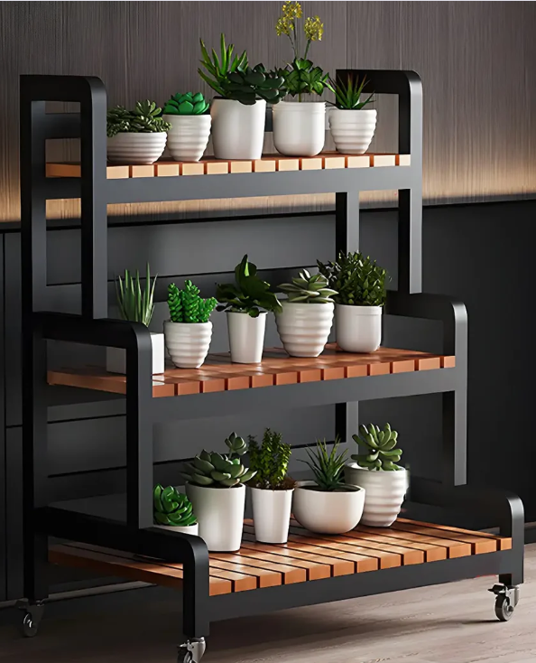 Expedited Shipping Price Difference Non-refundable once processed