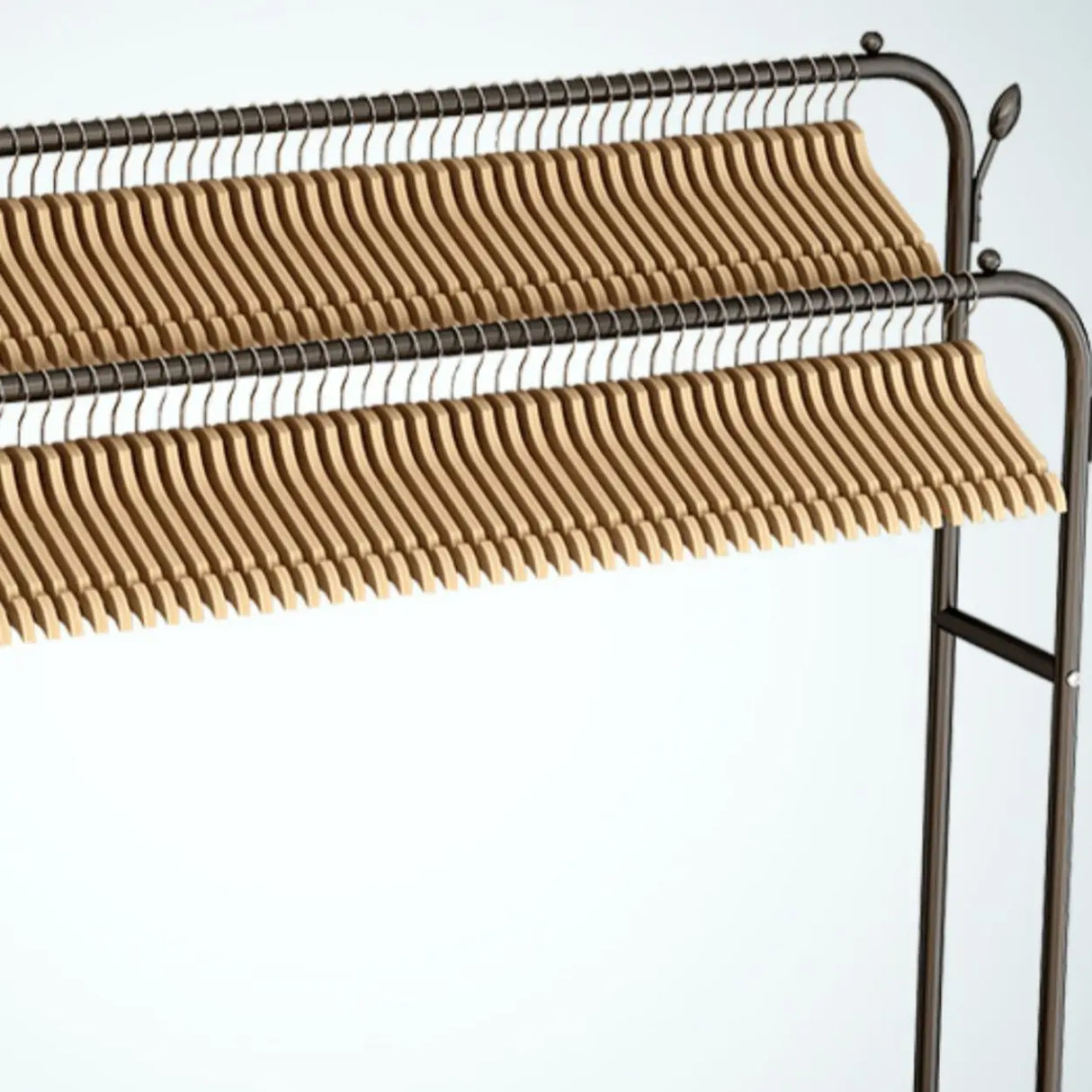 Black Double Rail Metal Freestanding Hooks Closet Rack Image - 4