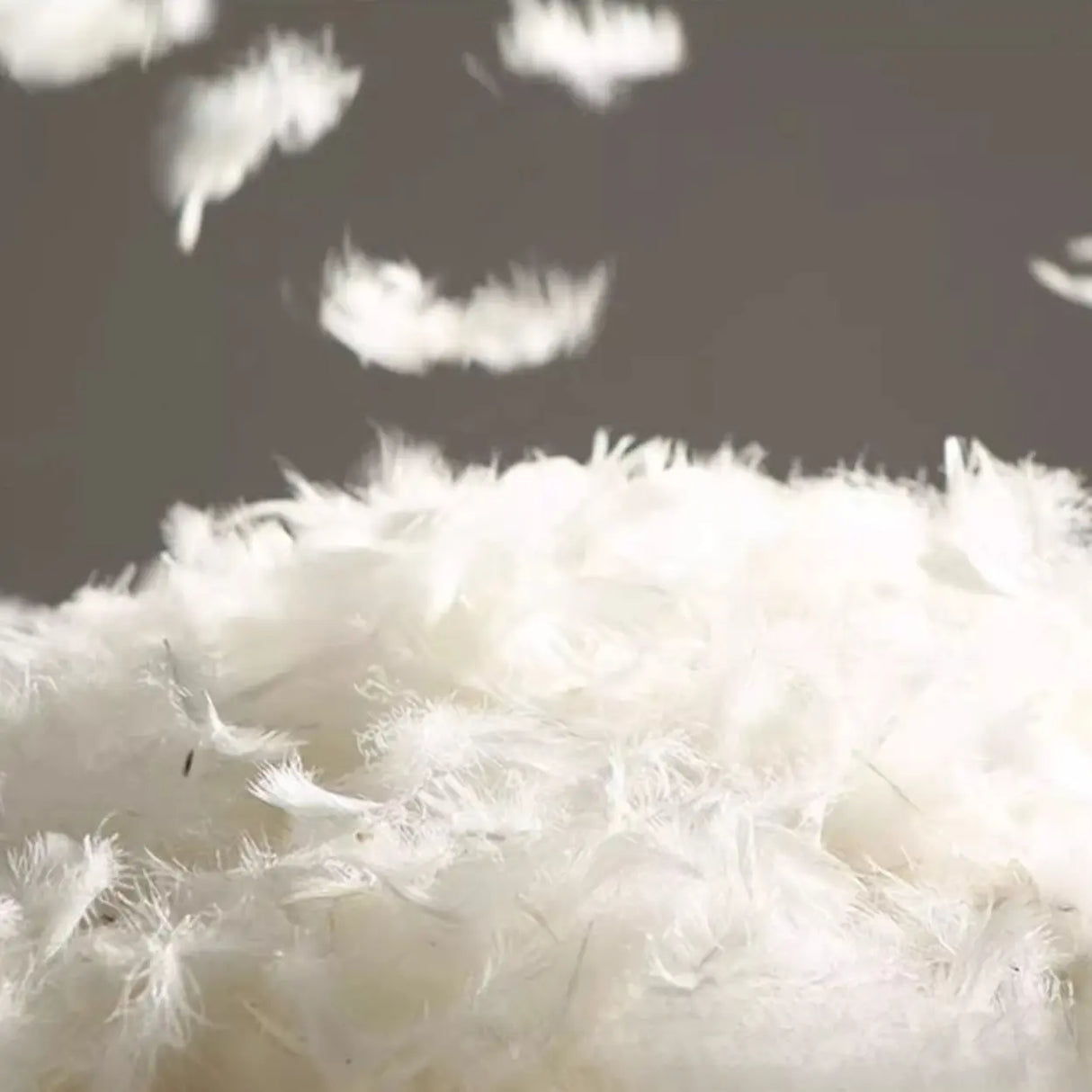 Brown Tear Resistant Genuine Leather Cushion Back Sofa Image - 15