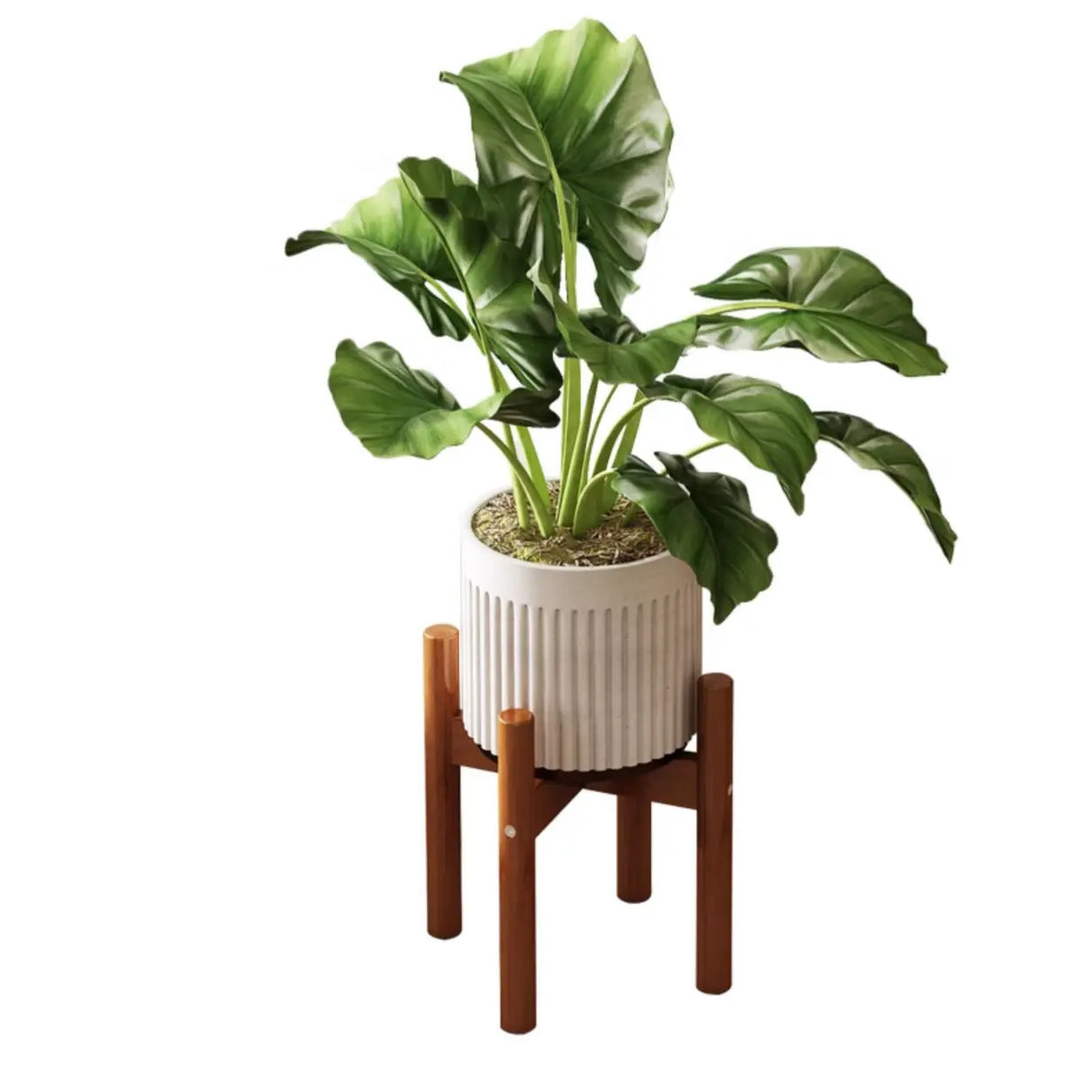 Brown Wooden Waterproof H Shape Small Plant Stands Image - 10