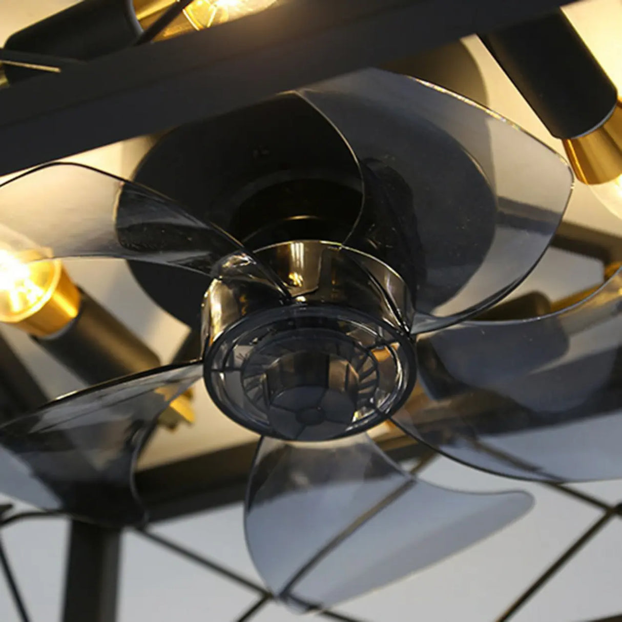 Chic Black Caged Multi-Light Ceiling Fan with Lights Image - 14