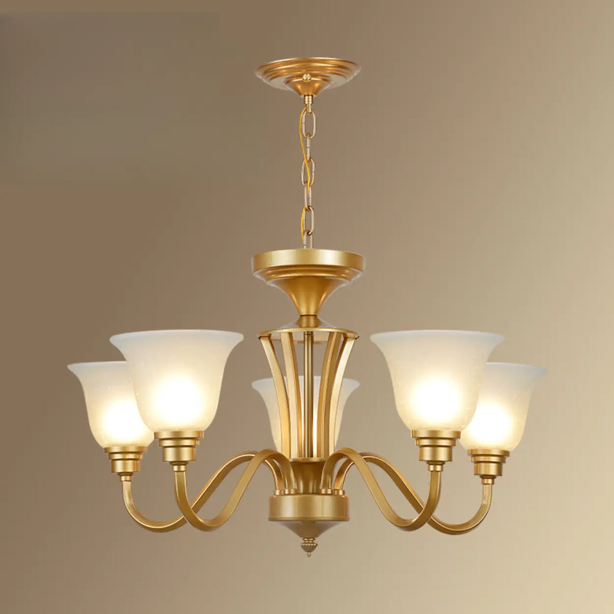 Classic Bronze Curved Arms Round Frosted Glass Chandelier Image - 19