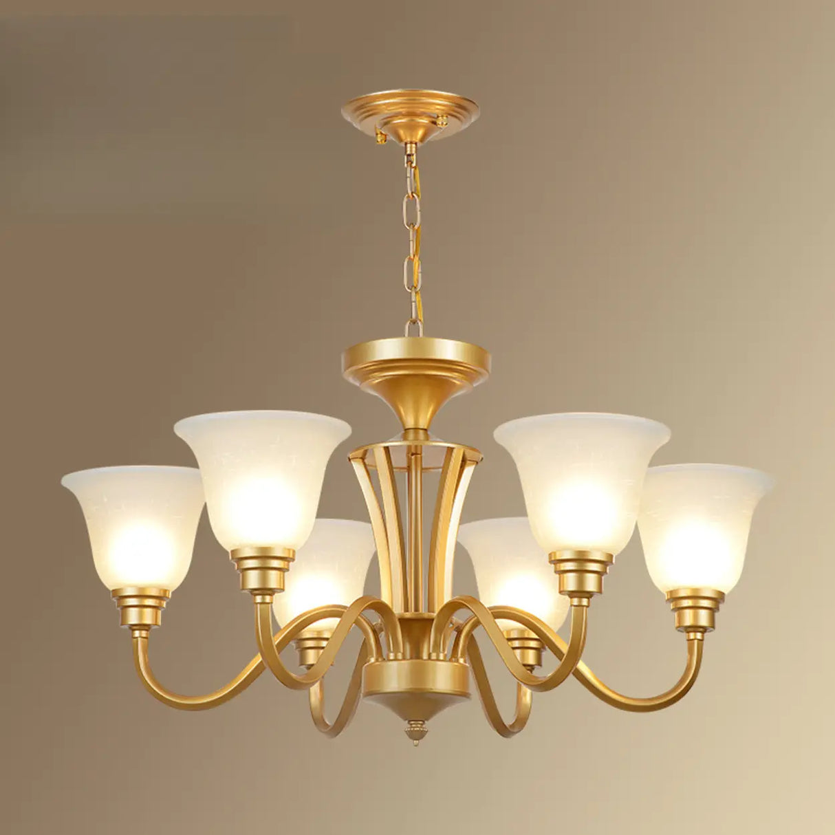 Classic Bronze Curved Arms Round Frosted Glass Chandelier Image - 20