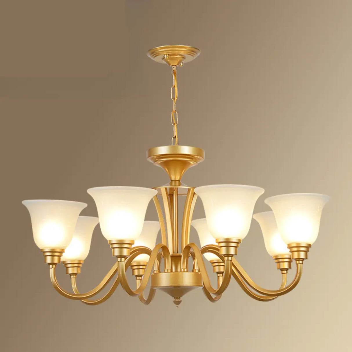 Classic Bronze Curved Arms Round Frosted Glass Chandelier Image - 21