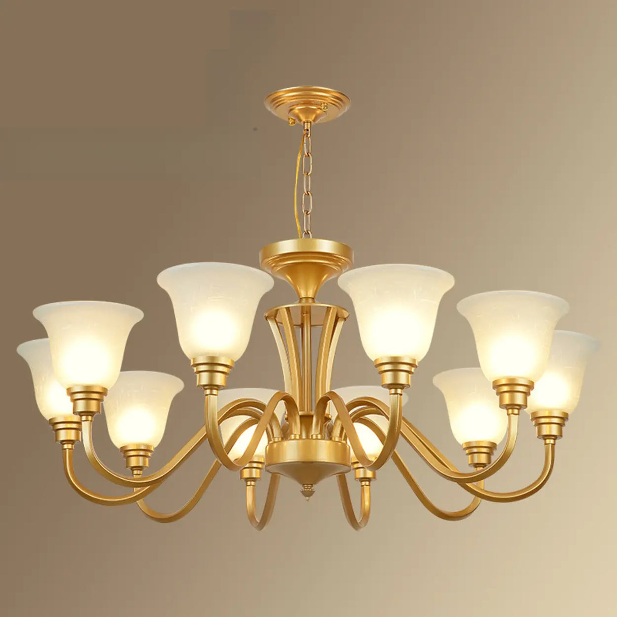 Classic Bronze Curved Arms Round Frosted Glass Chandelier Image - 22