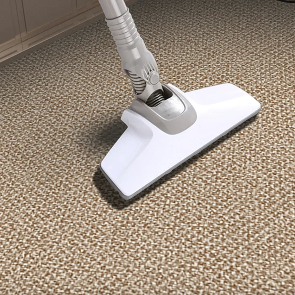 Cozy Rectangular Woven Beige Entrance Area Rug Image - 12