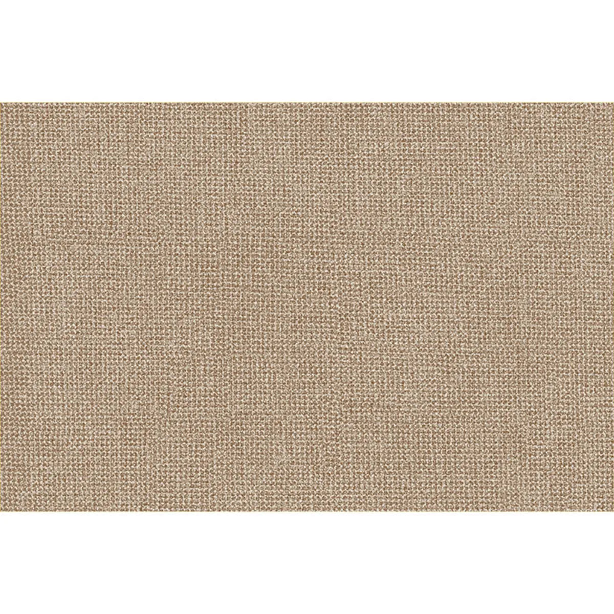 Cozy Rectangular Woven Beige Entrance Area Rug Image - 5