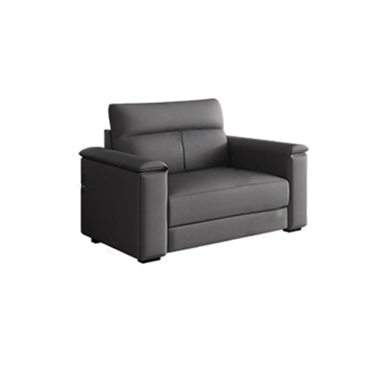 Dark Gray Scratch Resistant Cloth Cushion Back Sofa Image - 17