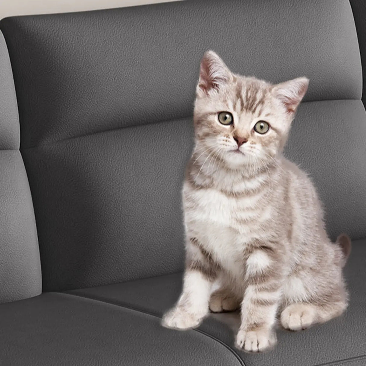 Dark Gray Scratch Resistant Cloth Cushion Back Sofa Image - 11