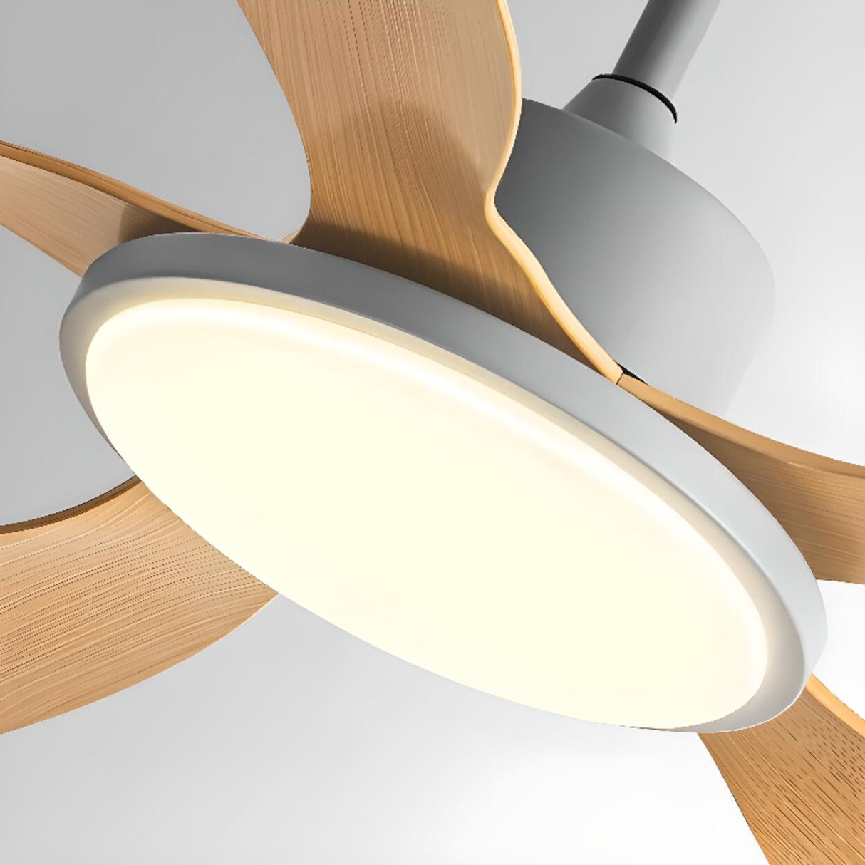 Down Rod Simple Wood Blade Standard Ceiling Fan Light Image - 22