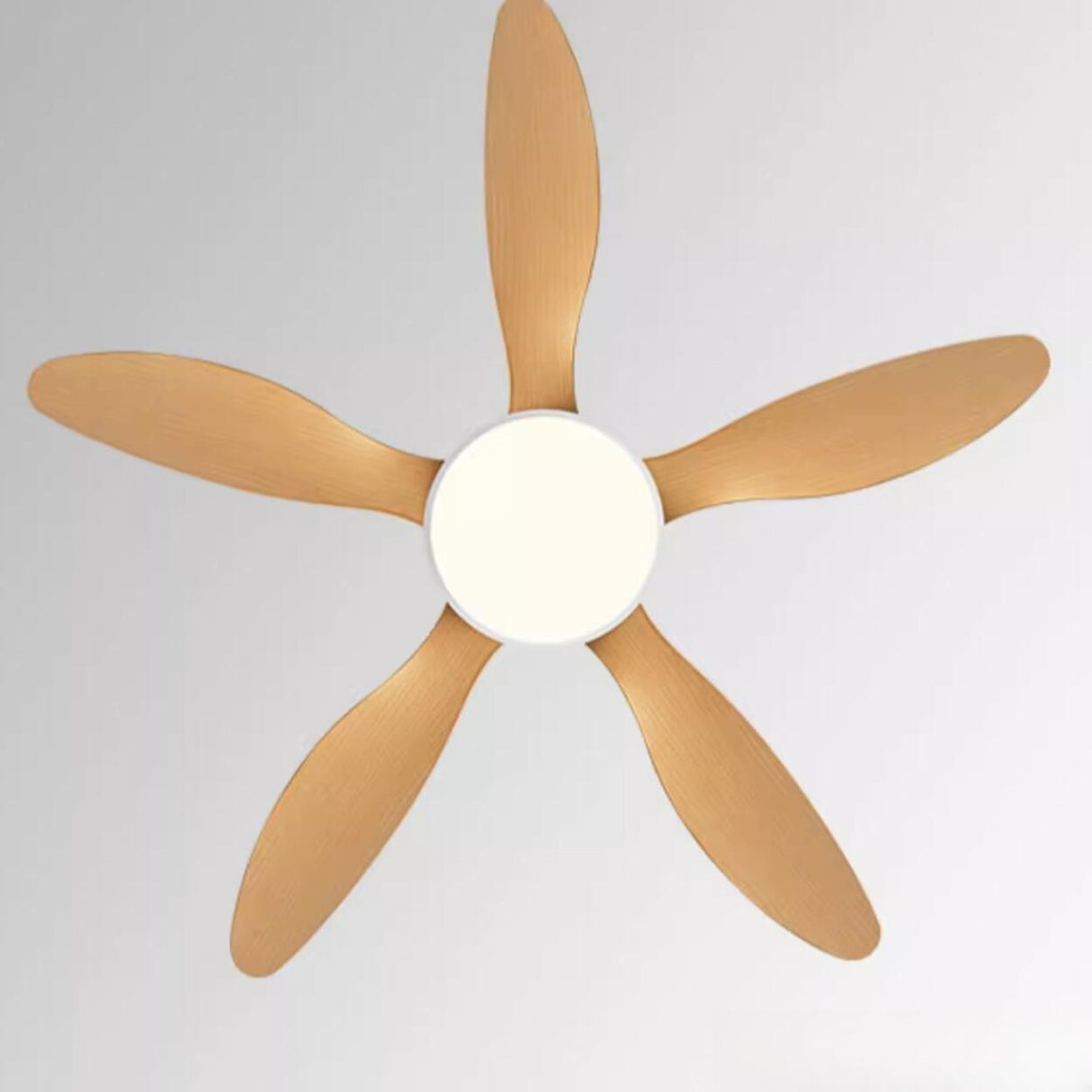 Down Rod Simple Wood Blade Standard Ceiling Fan Light Image - 24