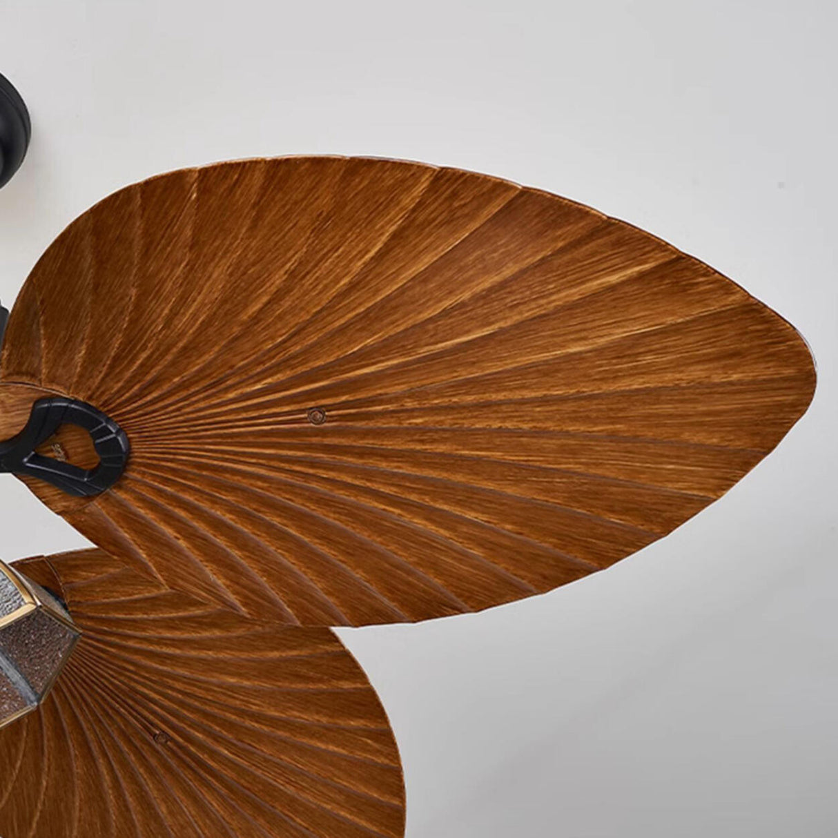 Elegant 5 Leaf Blades Glass Shades Ceiling Fan Light Image - 13