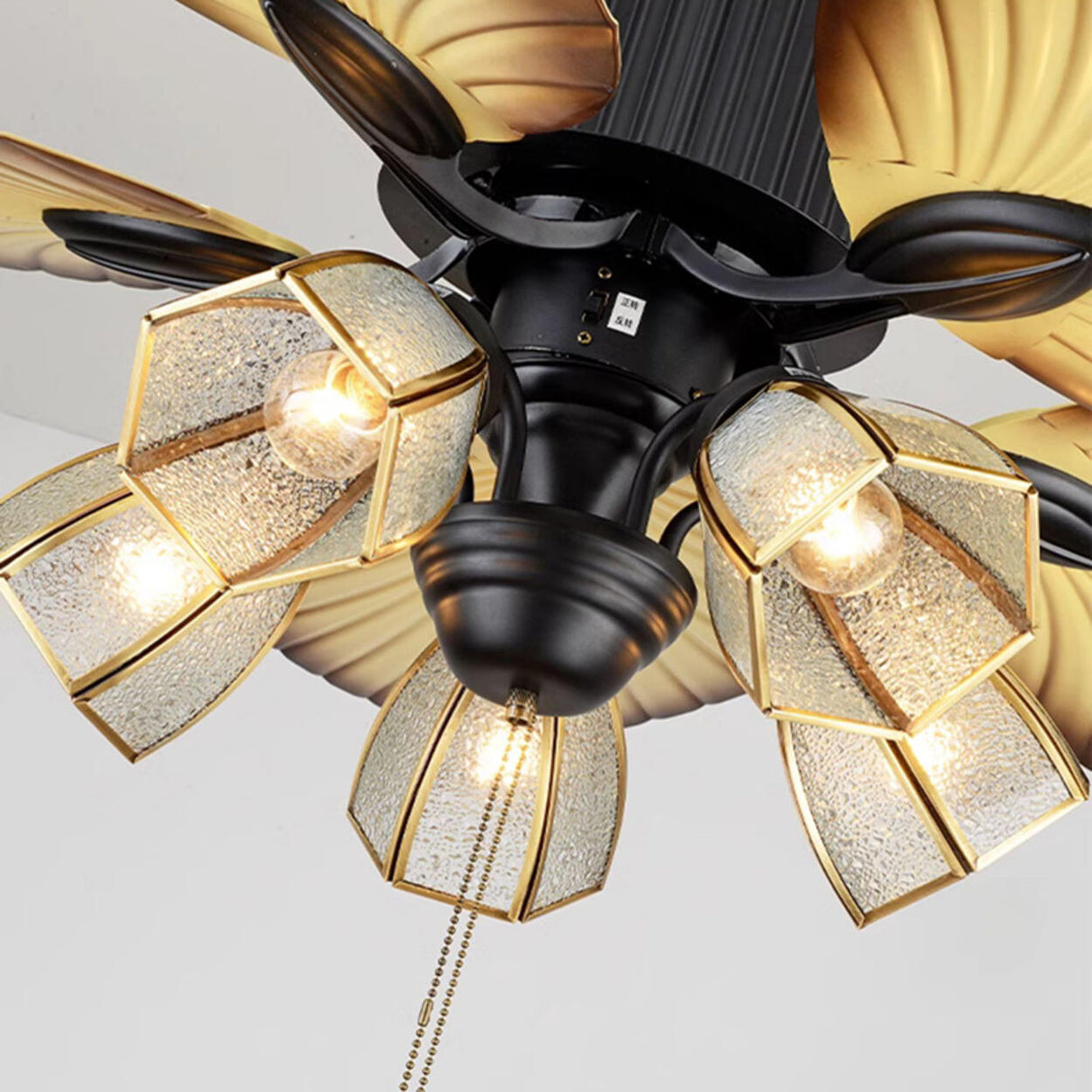 Elegant 5 Leaf Blades Glass Shades Ceiling Fan Light Image - 14