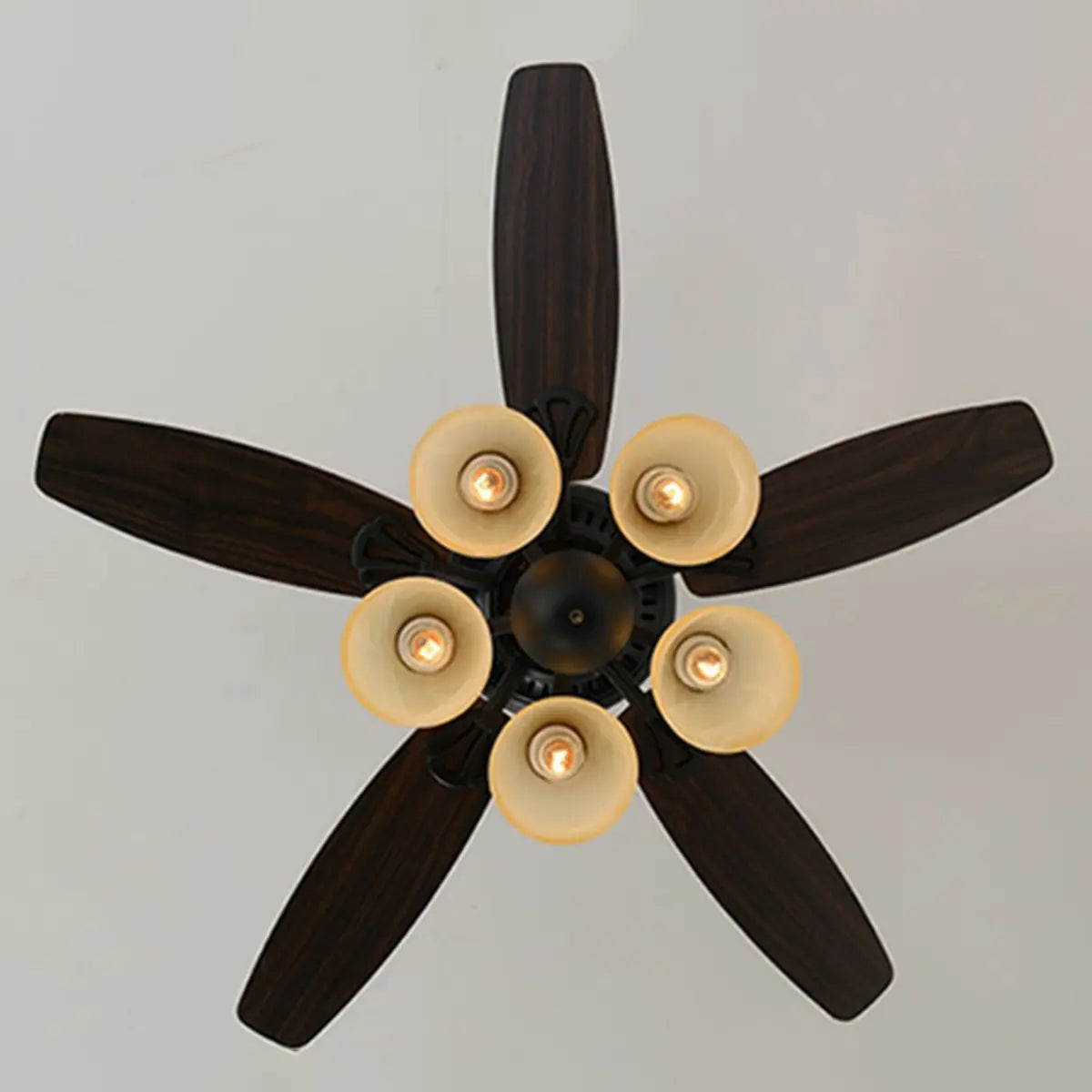 Elegant Black 5 Blade Glass Shade Ceiling Fan Light Image - 7