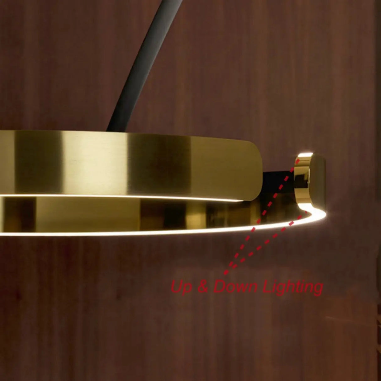 Elegant Circular LED Ring and Arched Floor Lamp Image - 3