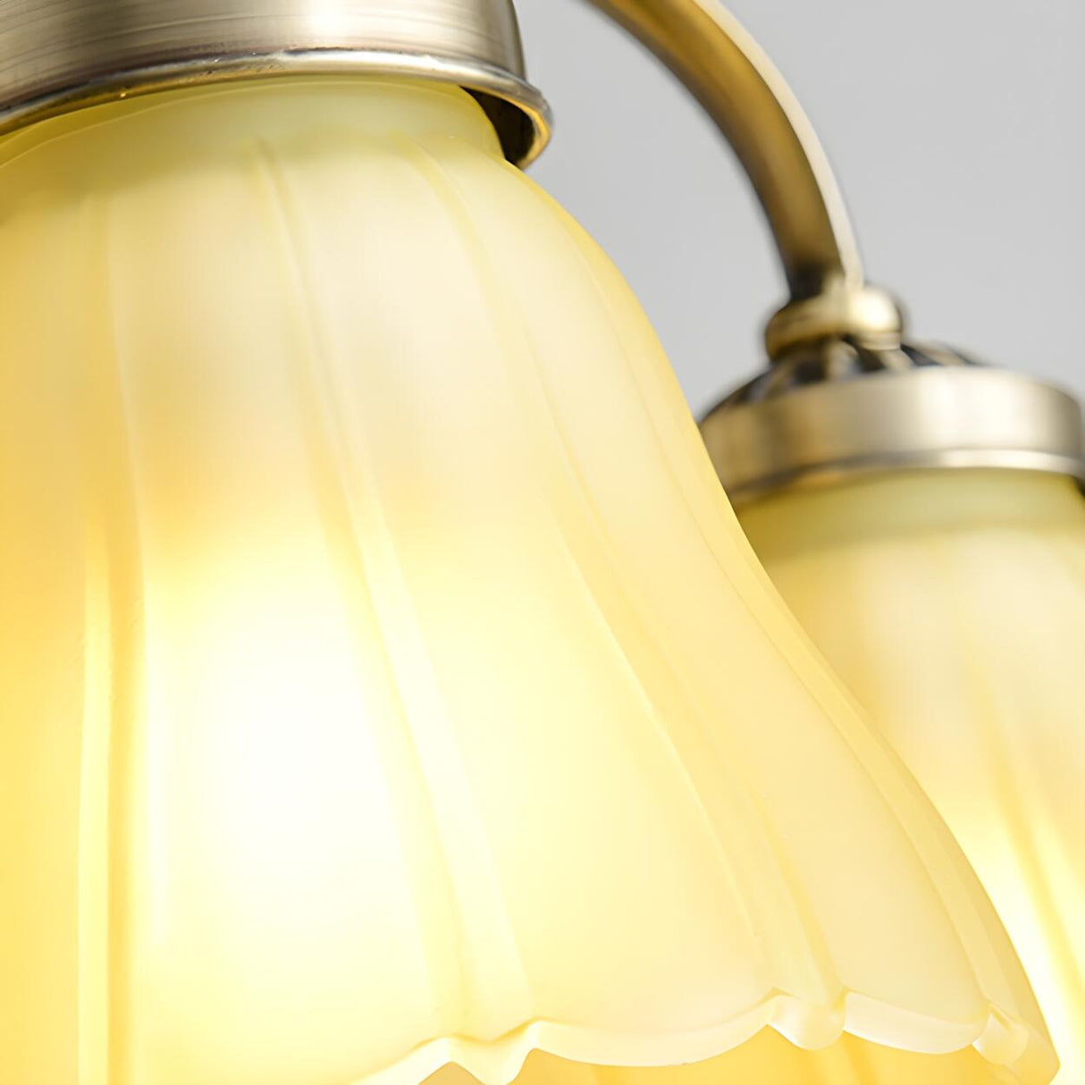 Elegant Flower Shade 5 Blades Modern Ceiling Fan Light Image - 12