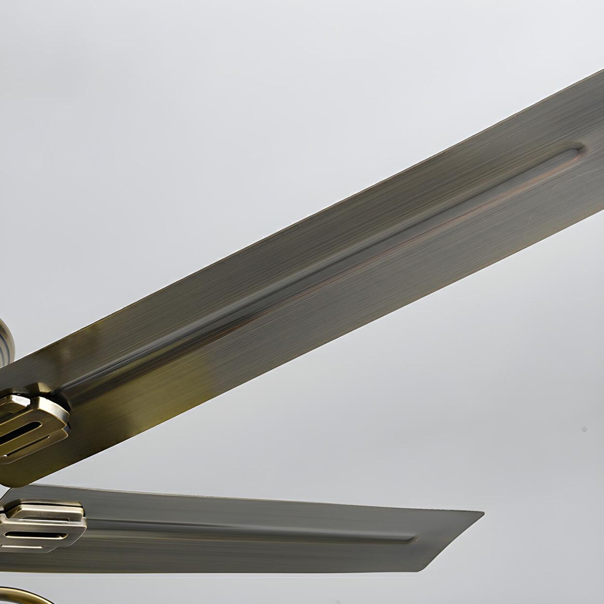 Elegant Flower Shade 5 Blades Modern Ceiling Fan Light Image - 14