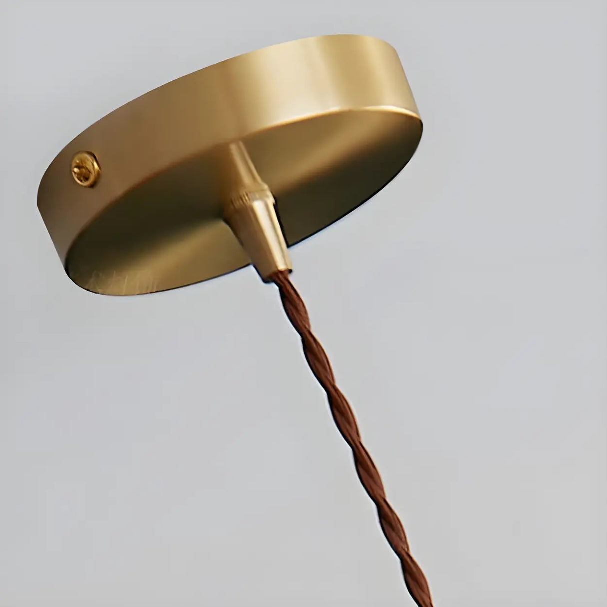 Elegant Modern Flower Clear Glass Pendant Light Image - 11