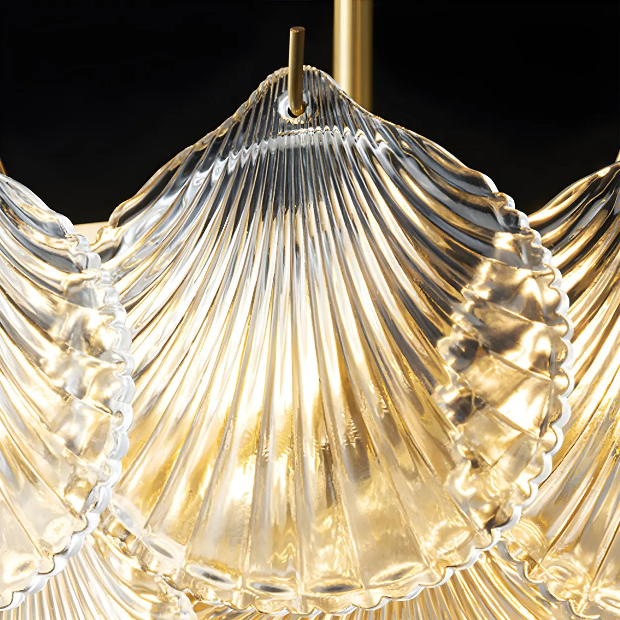 Elegant Modern Shell Clear Glass Circular Chandelier Bedroom Image - 11