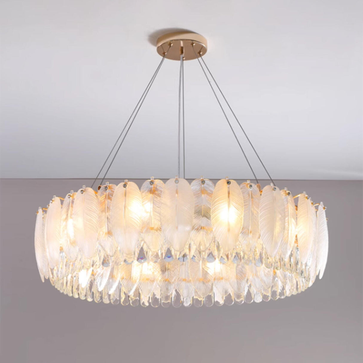 Feather Transparent Crystal Chandelier Kit Adjustable Height Image - 12