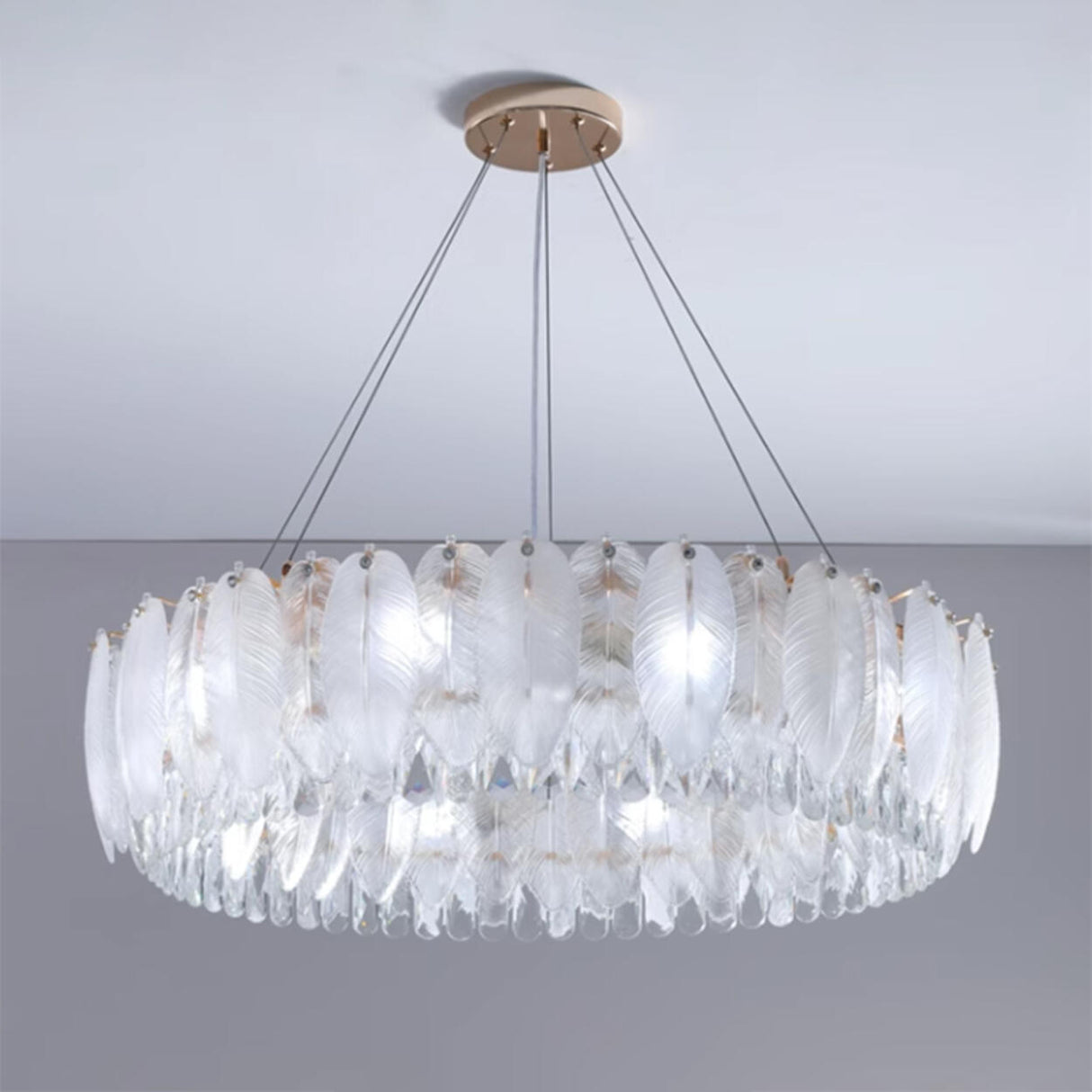 Feather Transparent Crystal Chandelier Kit Adjustable Height Image - 16