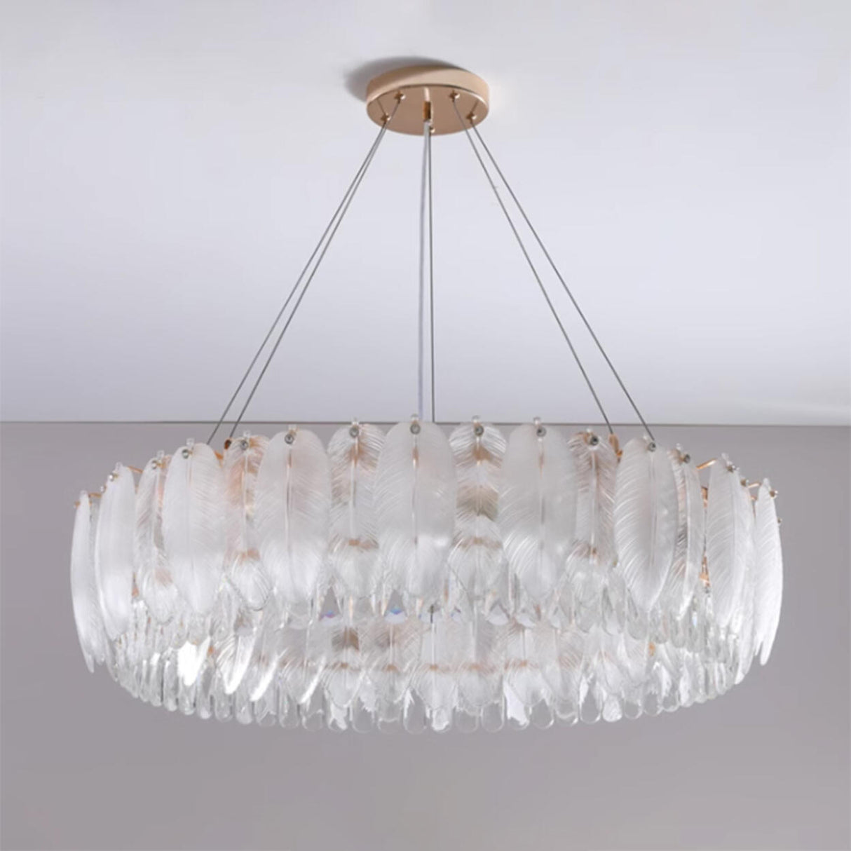 Feather Transparent Crystal Chandelier Kit Adjustable Height Image - 18