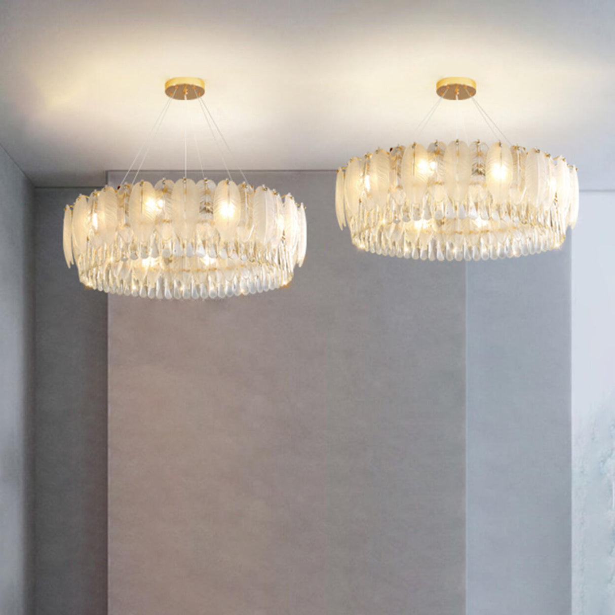 Feather Transparent Crystal Chandelier Kit Adjustable Height Image - 6