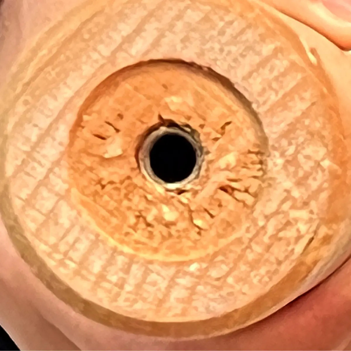 Freestanding Bedroom Walnut Wood Hooks Narrow Coat Rack Image - 16