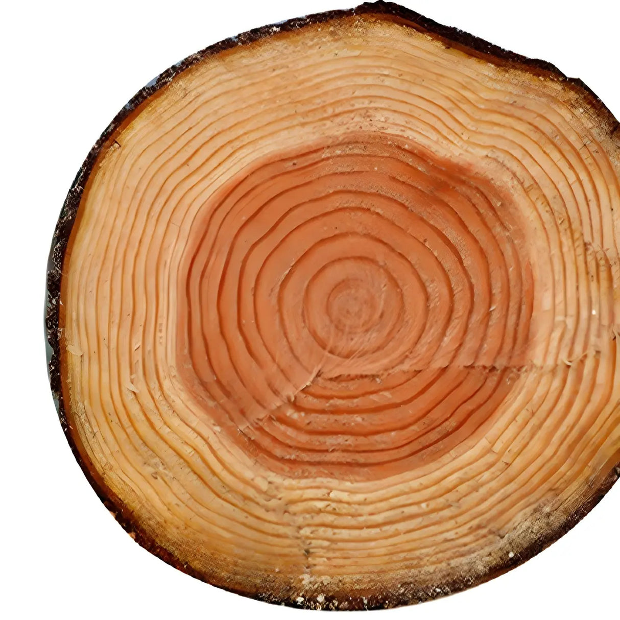 Glass Rectangular Storage Coffee Table with Cabinet Image - 12