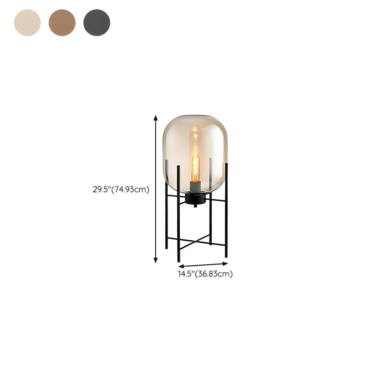 Industrial Glass Dome Black Metal Frame Floor Lamp