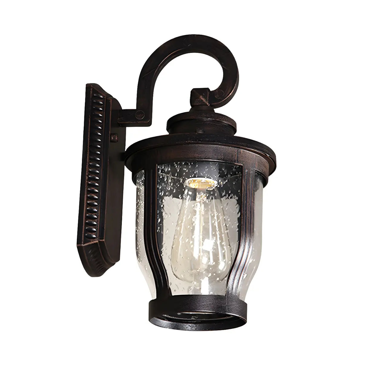 Industrial Gooseneck Glass Outdoor Black Wall Lamp Image - 4