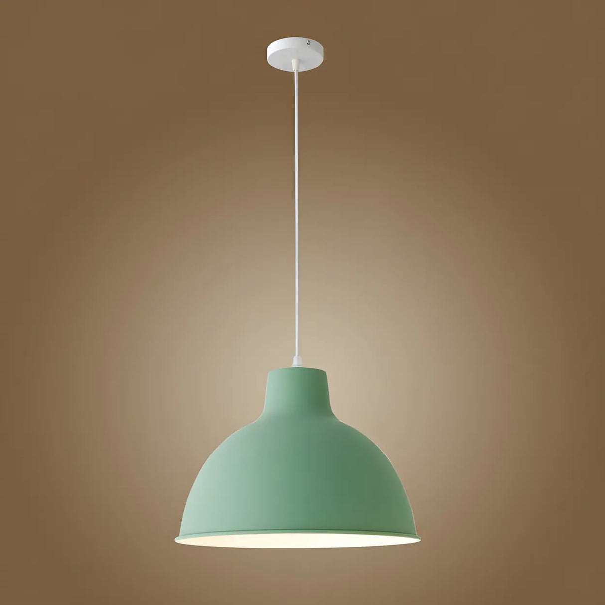 Living Room Adjustable Dome Aluminum Cord Pendant Light Image - 13