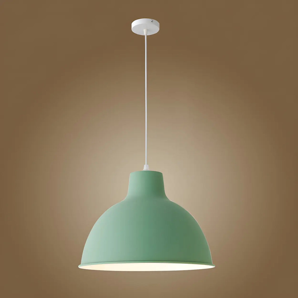 Living Room Adjustable Dome Aluminum Cord Pendant Light Image - 27