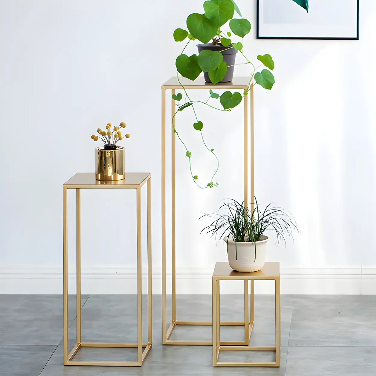 Minimalist Square 1 Tier Metal Frame Black Plant Stand Image - 3