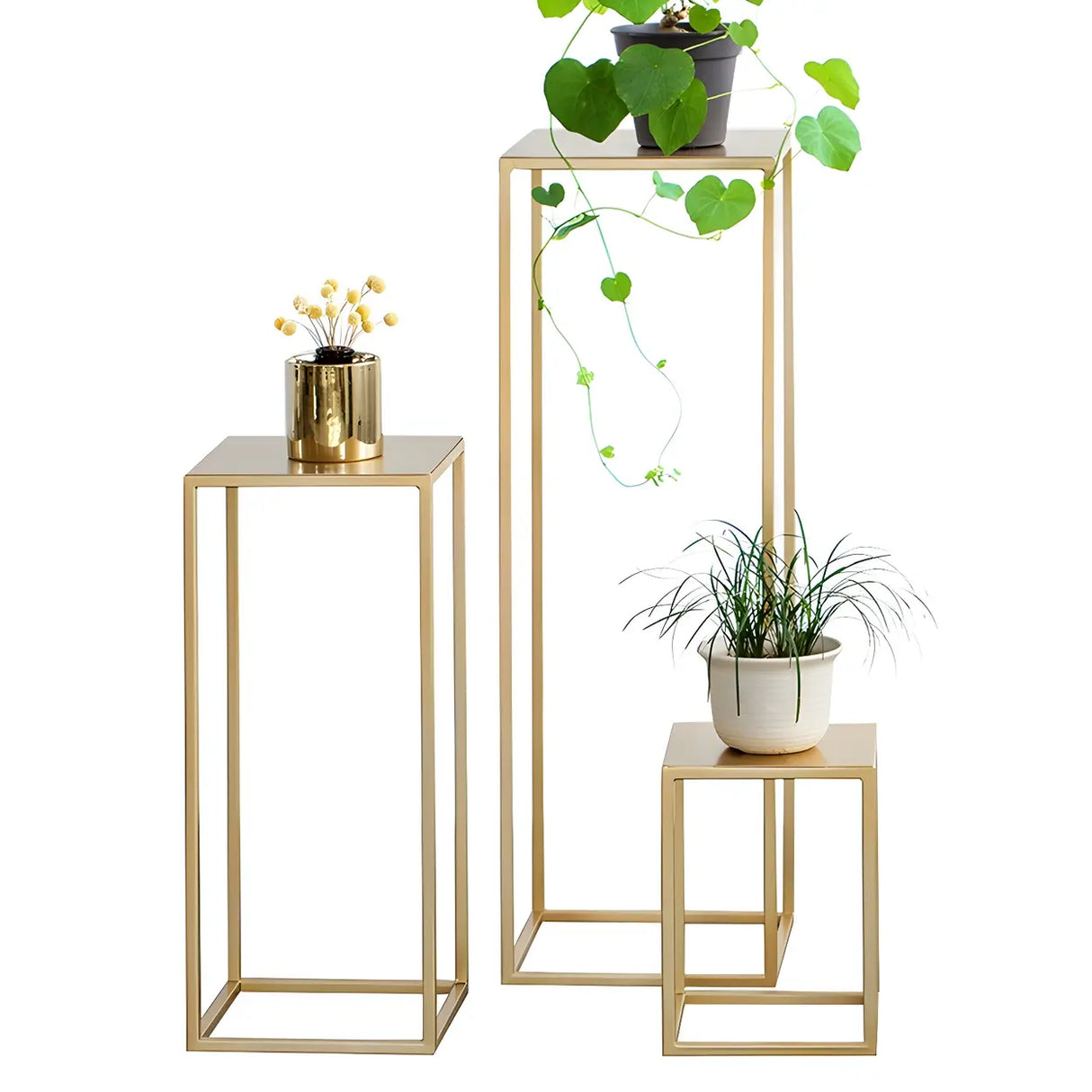 Minimalist Square 1 Tier Metal Frame Black Plant Stand Image - 15