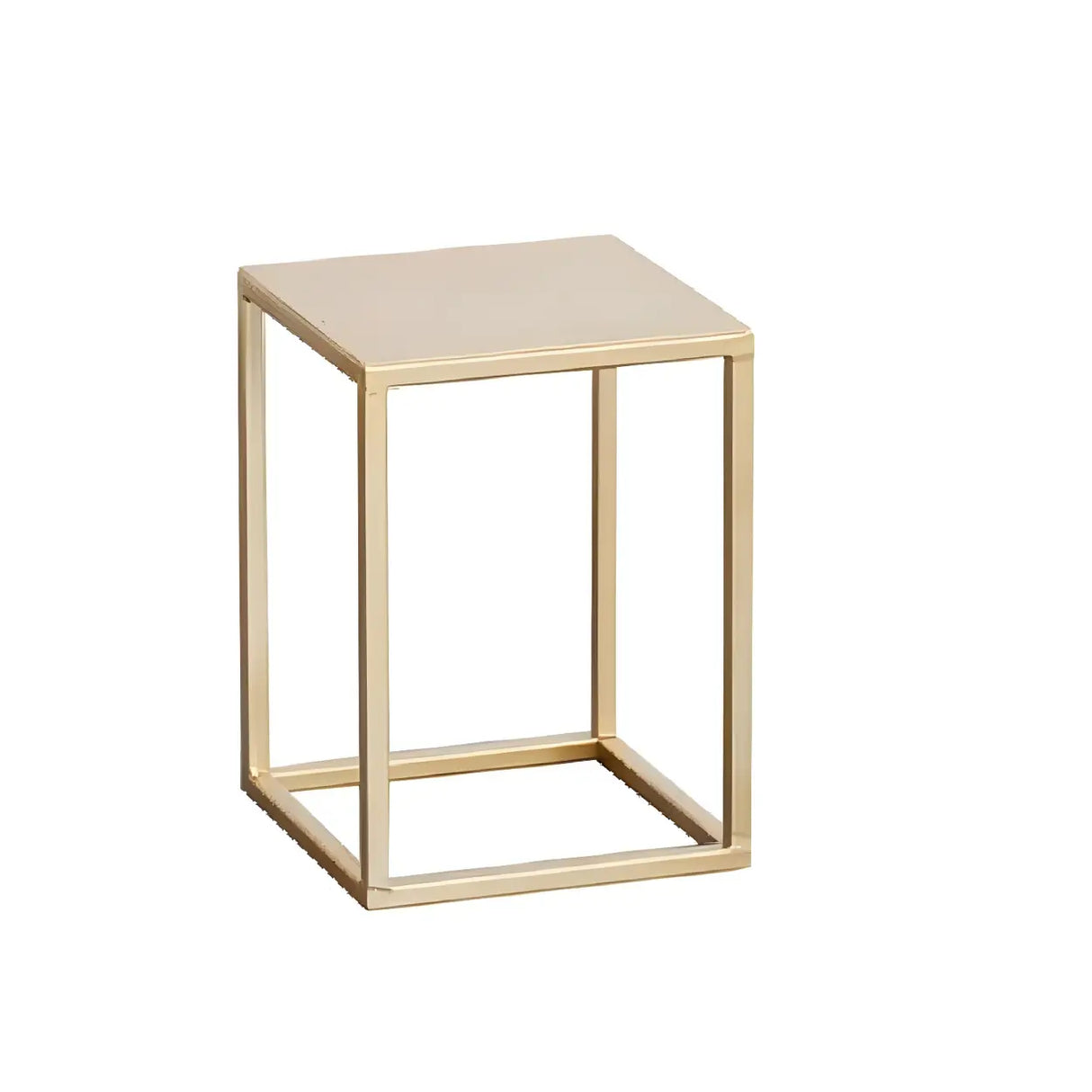 Minimalist Square 1 Tier Metal Frame Black Plant Stand Image - 6