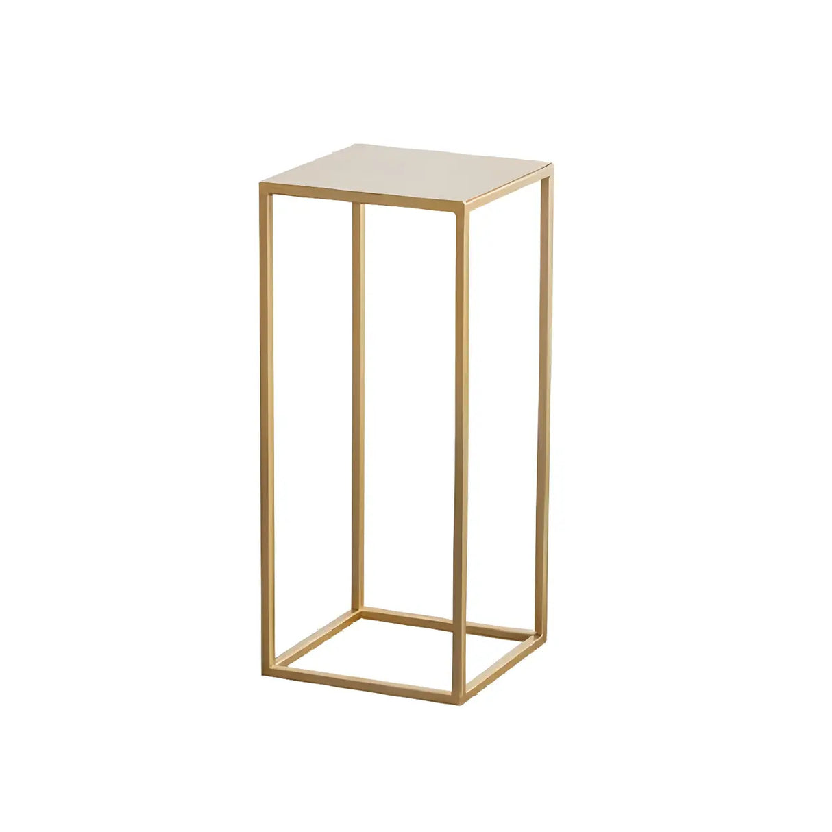 Minimalist Square 1 Tier Metal Frame Black Plant Stand Image - 7