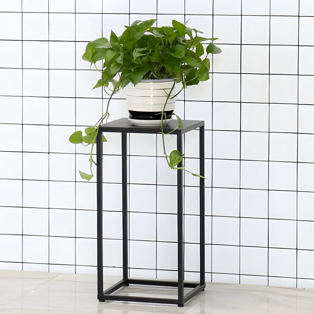 Minimalist Square 1 Tier Metal Frame Black Plant Stand Image - 19