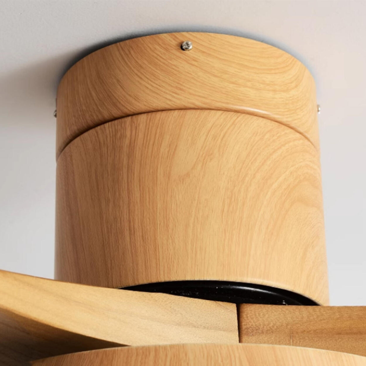 Modern 3 Solid Wood Blades Ceiling Fan with LED Light Image - 4