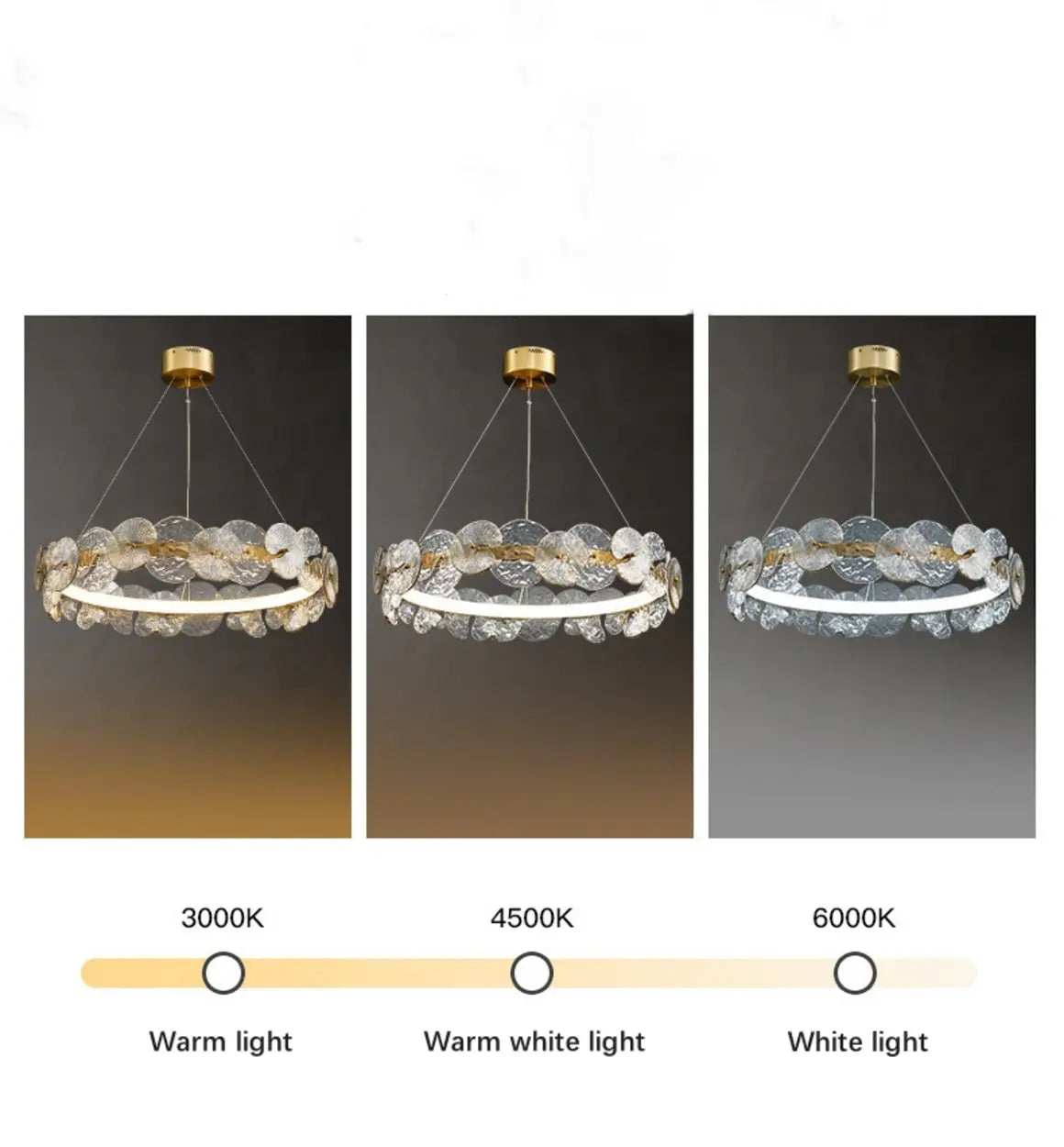 Modern Circular Clear Glass Disk Pendant Light Chandelier Image - 5