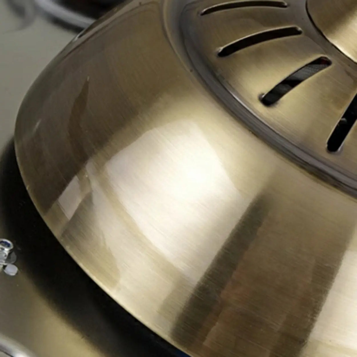 Modern Elegant Flower Drum Shape Ceiling Fan with Light Image - 11