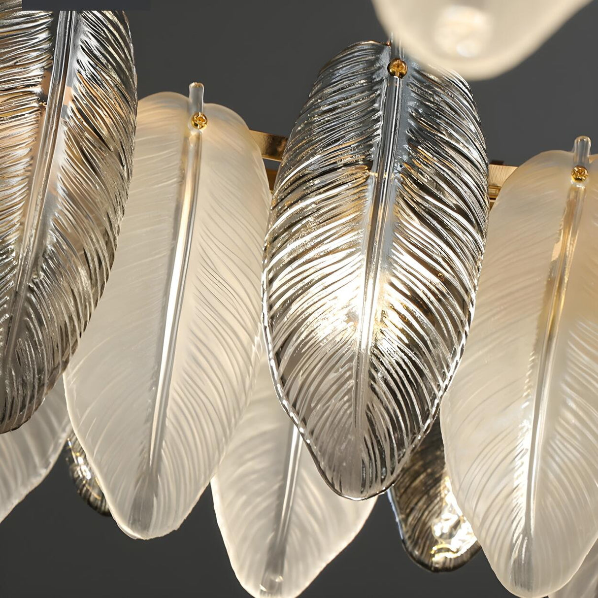 Modern Feather Clear Glass Round Pendant Chandelier Image - 12