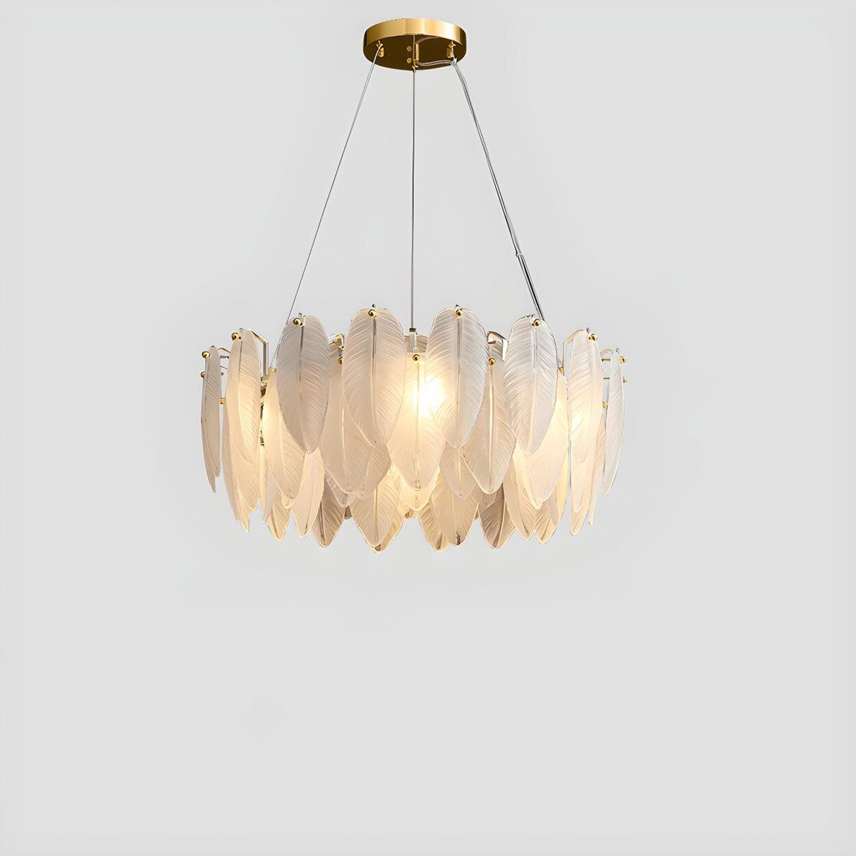Modern Feather Clear Glass Round Pendant Chandelier Image - 9