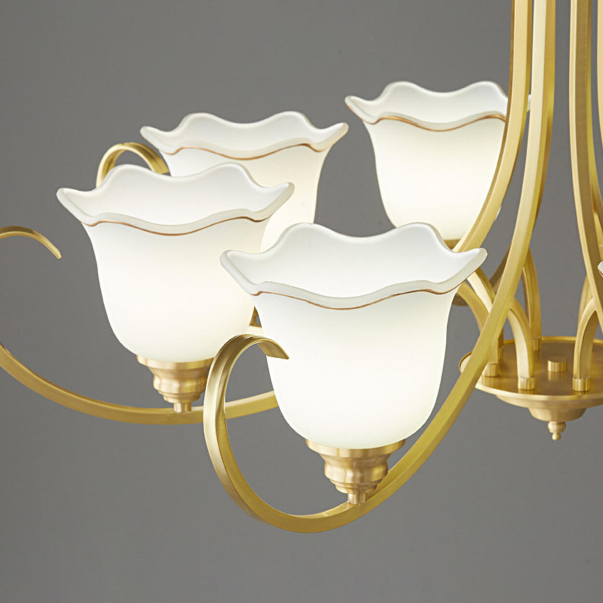 Modern Gold Bell Jar Frosted Glass Chandelier Image - 12