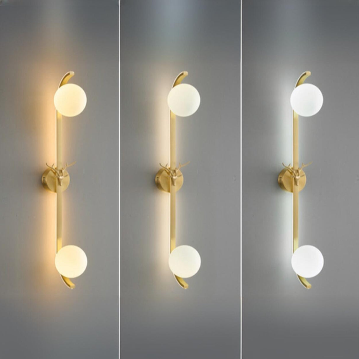 Modern Gold Dual Globe Lights Wall Sconce Image - 4