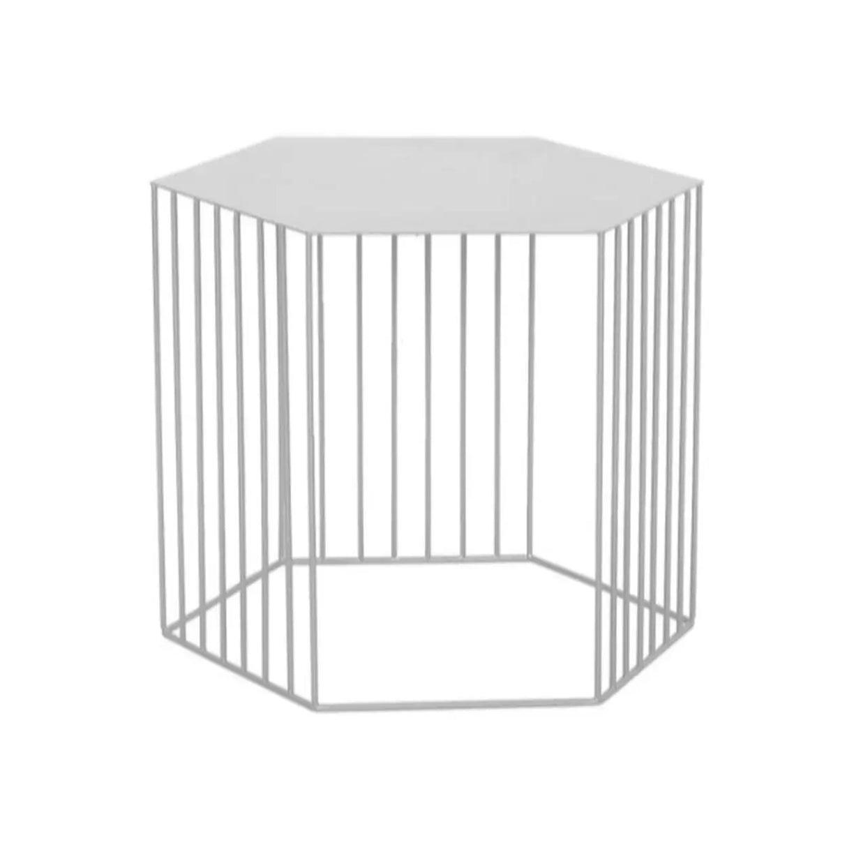 Modern Hexagonal Metal Black Plant Stand with Shelves Image - 3