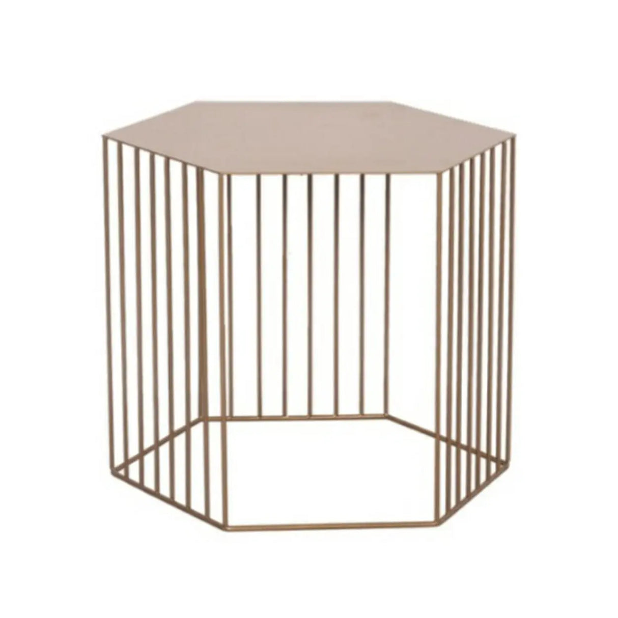 Modern Hexagonal Metal Black Plant Stand with Shelves Image - 5