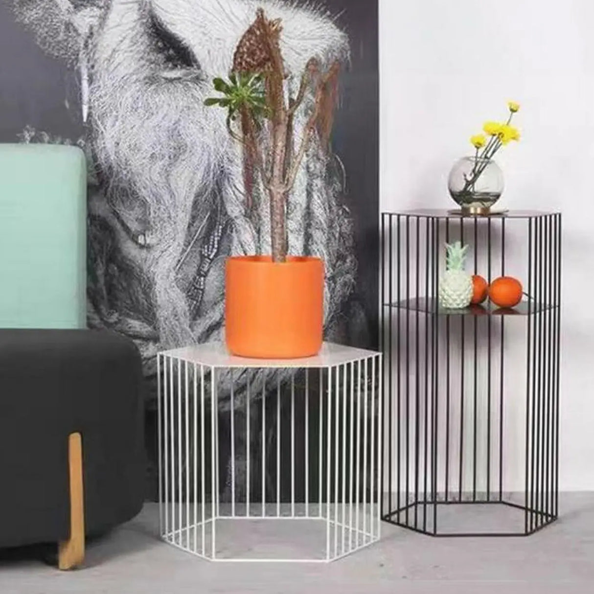 Modern Hexagonal Metal Black Plant Stand with Shelves Image - 8