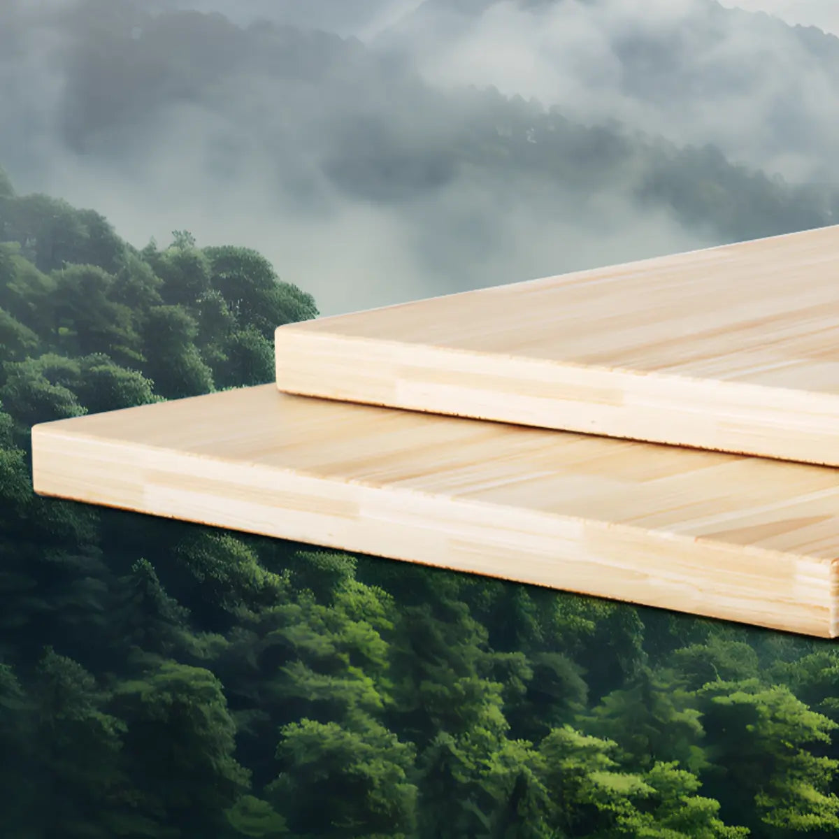 Modern Horizontal Pine Natural Shelf Storage Bookcase Image - 5