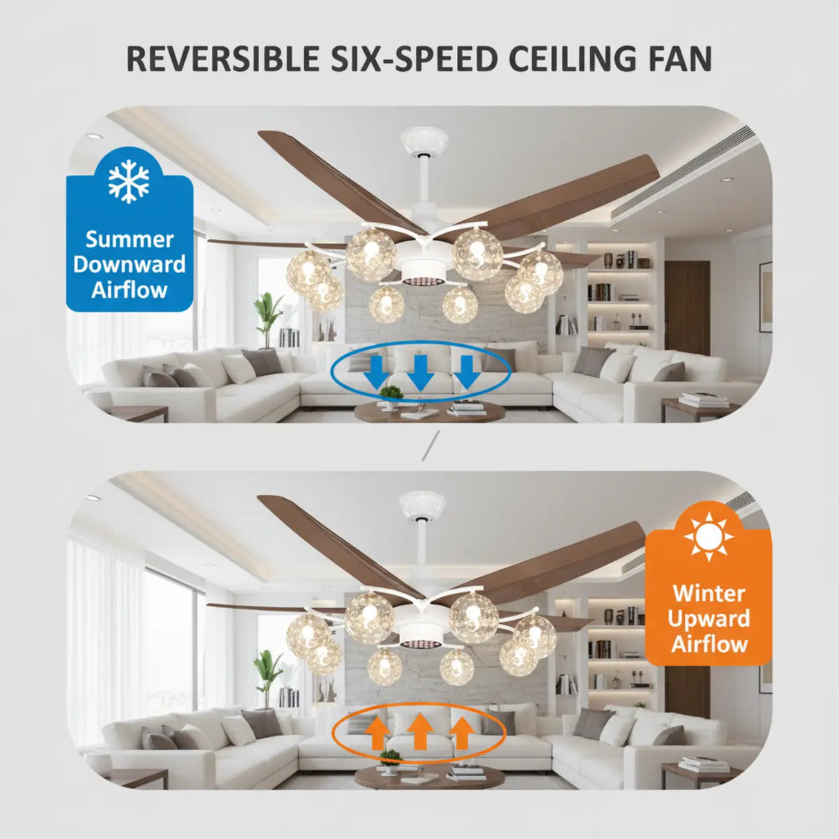 Modern Large 5-Blade Reversible Glass Globe Ceiling Fan Light Image - 6